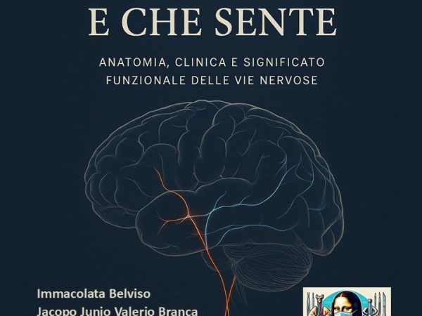 IL CERVELLO CHE MUOVE E CHE&nbsp;SENTE