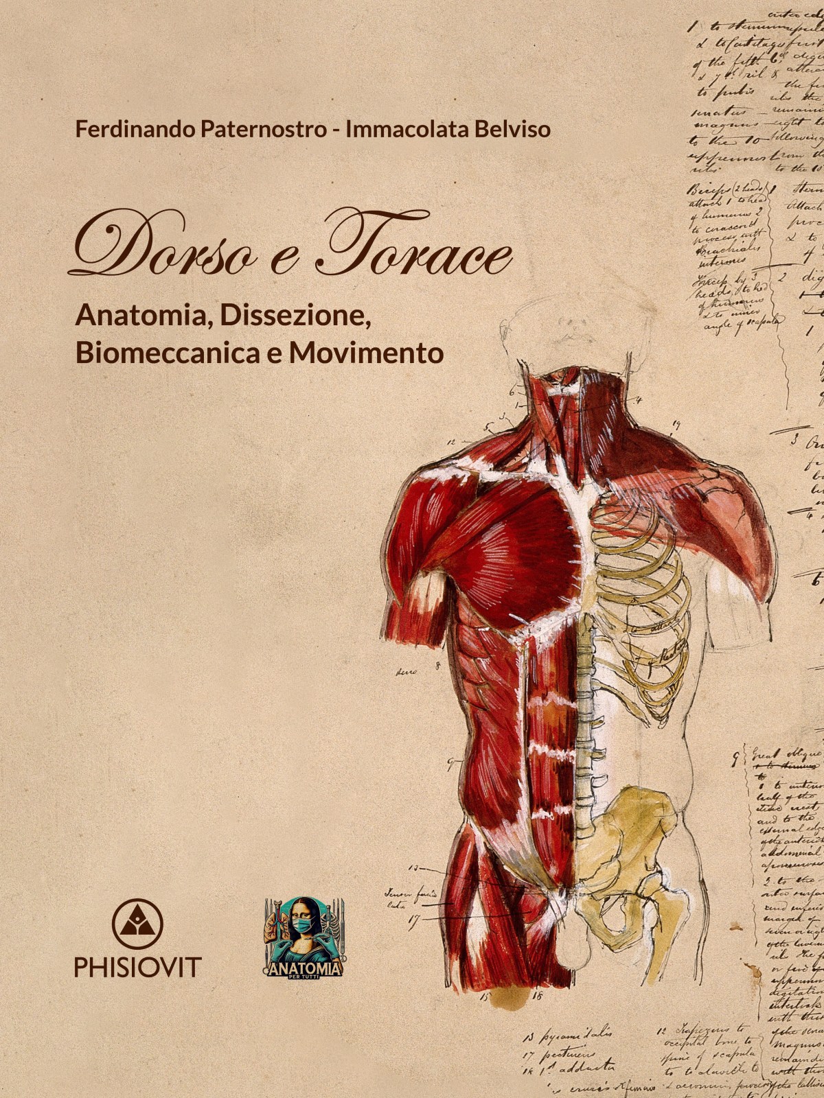 Dove il corpo prende forma: Anatomia del dorso e del&nbsp;torace