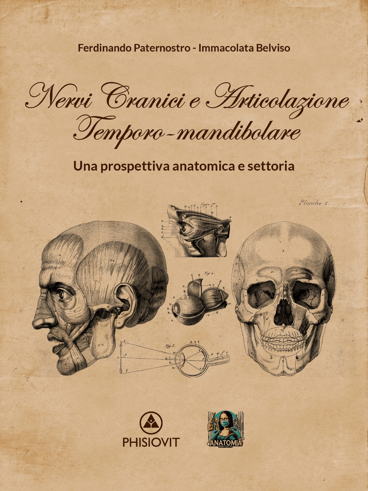 NERVI CRANICI E ATM: una prospettiva anatomica e&nbsp;settoria